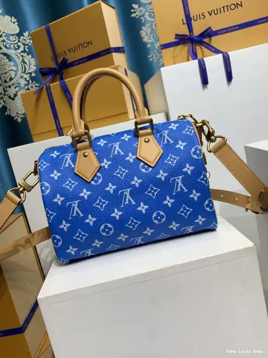 Fake Louis Bags Louis 25 Vuitton SPEEDY 0604